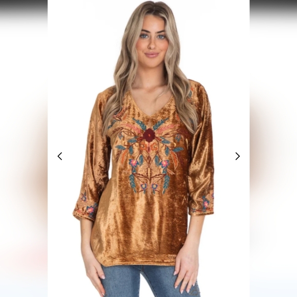 Tru Luxe Jeans Women's Embroidered V-neck Bronze Velvet Top Size XL - Picture 1 of 11